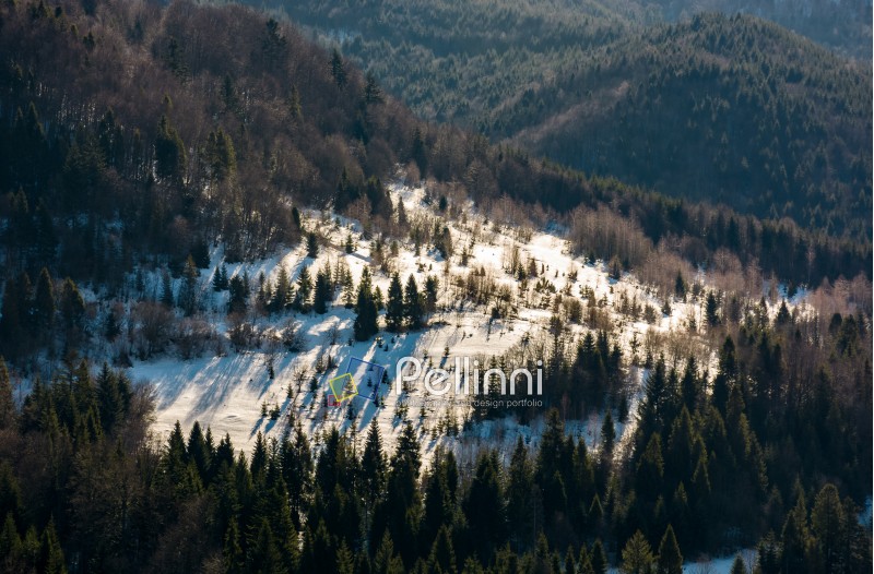 snow covered meadow among forest on hillside. beautiful nature scenery in winter