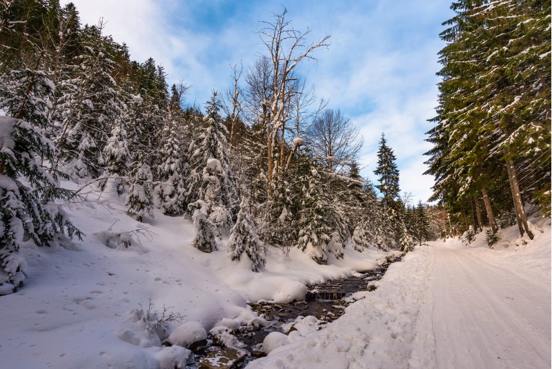 snow covered road along the path through forest. beautiful nature scenery in winter. location Synevyr National Nature Park, Ukraine