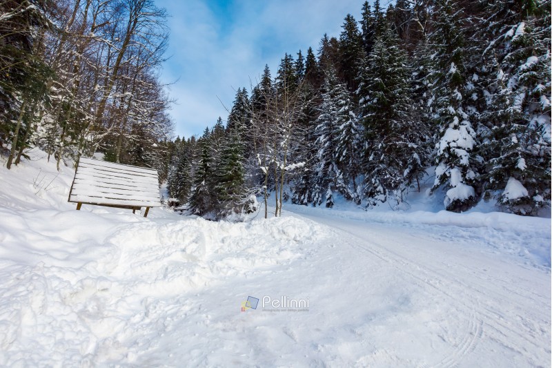 snow covered road winding uphill through forest. wonderful winter adventures