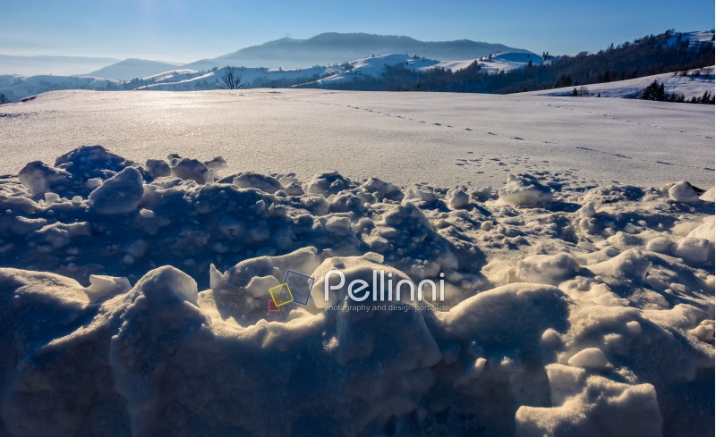 meadow full of snow in mountainous area on a sunny winter day