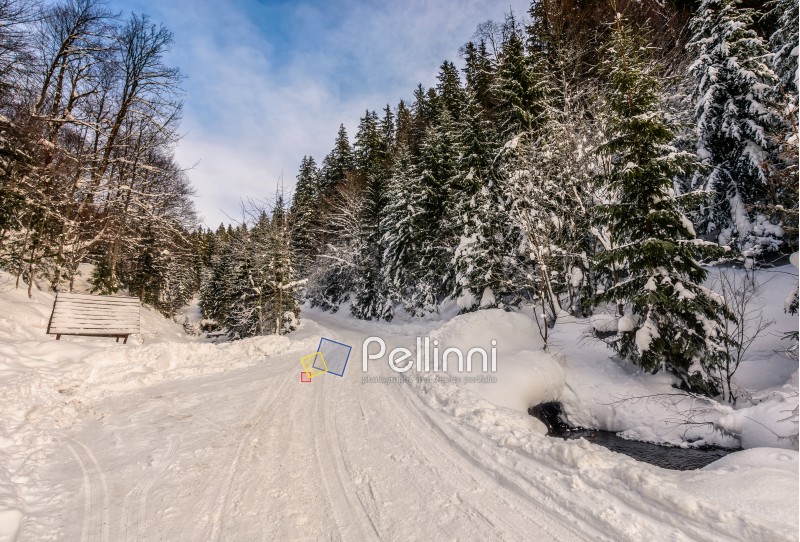 winter mountain landscape. winding road that leads into the spruce forest covered with snow