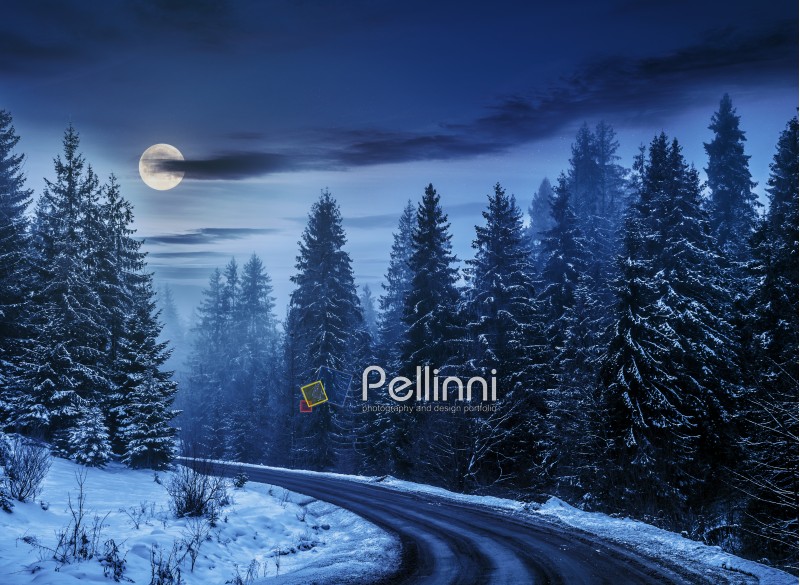 winter mountain landscape. winding road that leads into the spruce forest covered with snow at night in full moon light