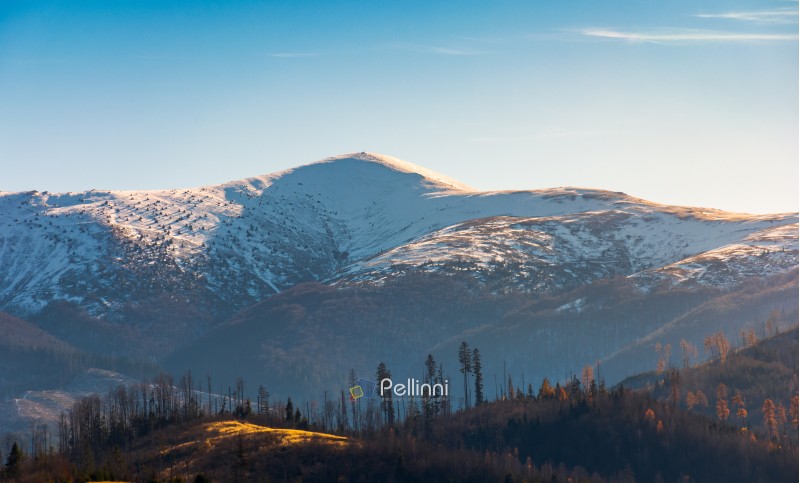 snowy top of Velykyi Verkh. beautiful morning scenery of late autumn in Carpathian mountains, Ukraine