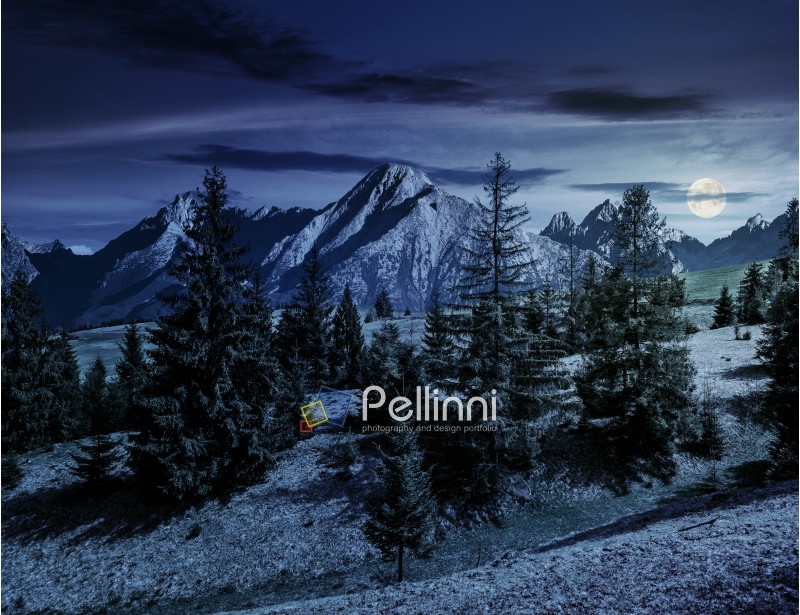 Composite summer landscape with spruce forest on grassy hillside in High Tatra Mountains at night in full moon light
