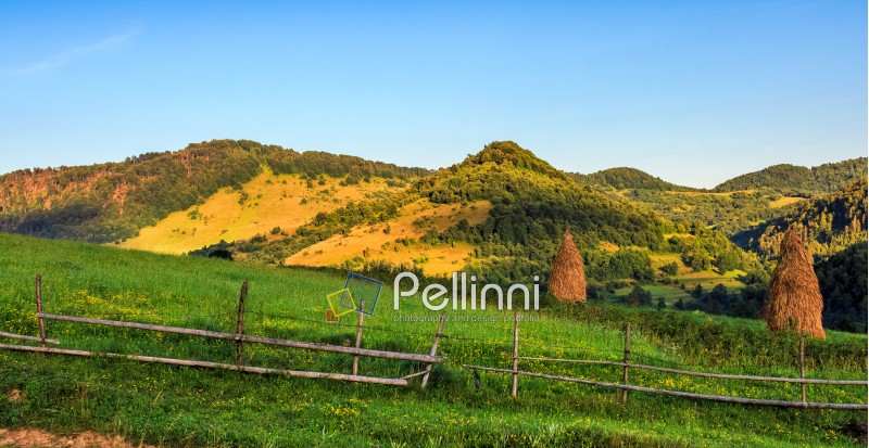 agricultural field on a hillside with haystacks on a green grassy meadow. beautiful summer morning in mountains. Carpathian rural area.