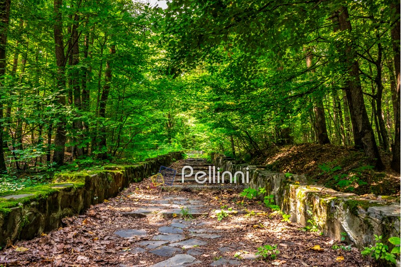 path with steps made ​​of stone among the trees in a city park is covered with foliage 