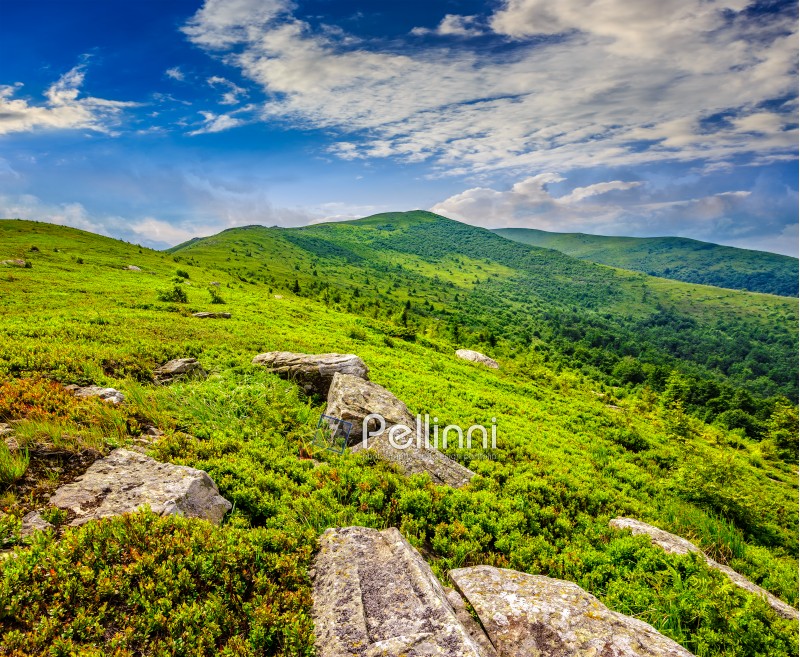 white sharp stones and boulders among green grassy meadow on the hillside on top of  mountain range