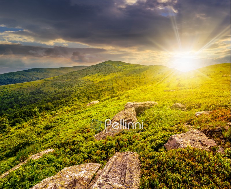 white sharp stones and boulders among green grassy meadow on the hillside on top of  mountain range in evening light