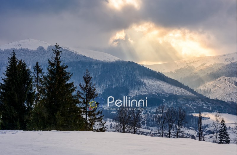 stormy winter sky over rural area in mountains near spruce forest