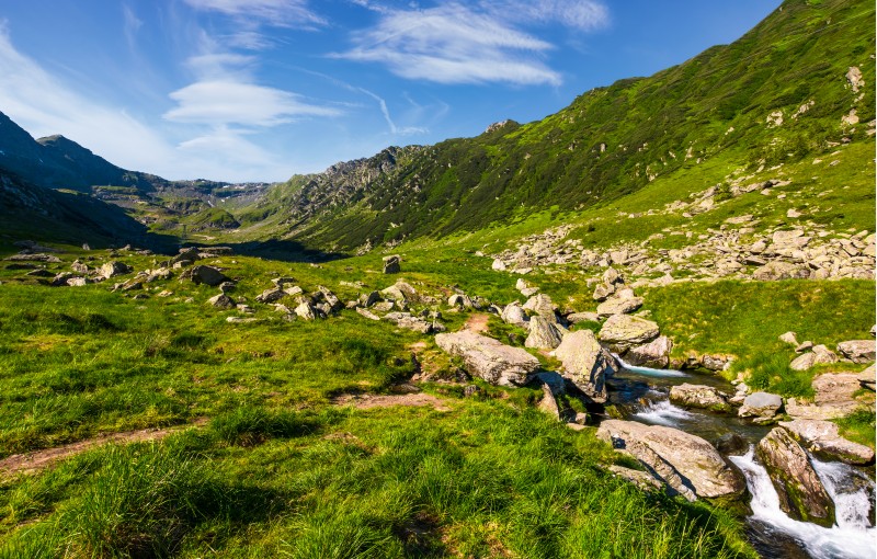stream among the rocks in grassy valley. gorgeous summertime landscape of Fagaras mountains