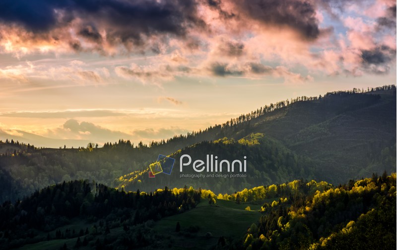 mountain landscape on cloudy evening. green meadow near the forest on the hillside in Carpathians