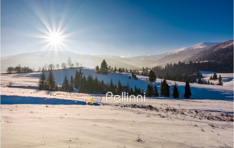 sun burst over the beautiful winter landscape. stunning scenery in Carpathian mountains