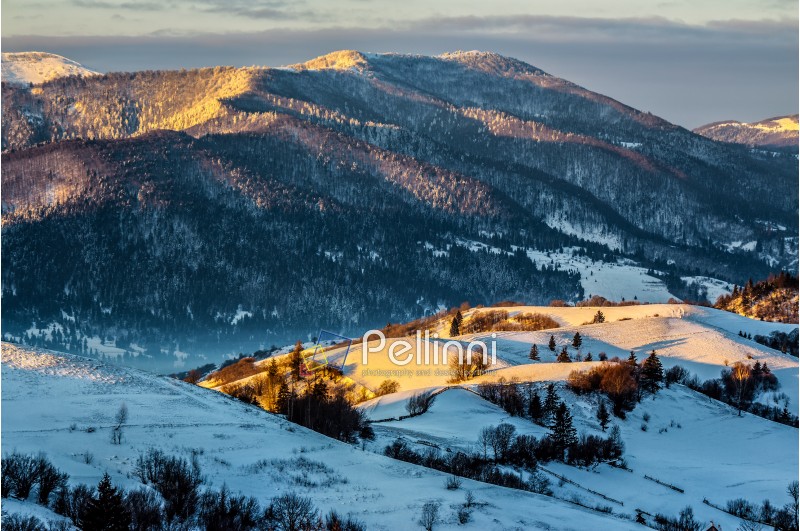 carpathian mountain rural area near peaks in snow on frosty sunrise in winter