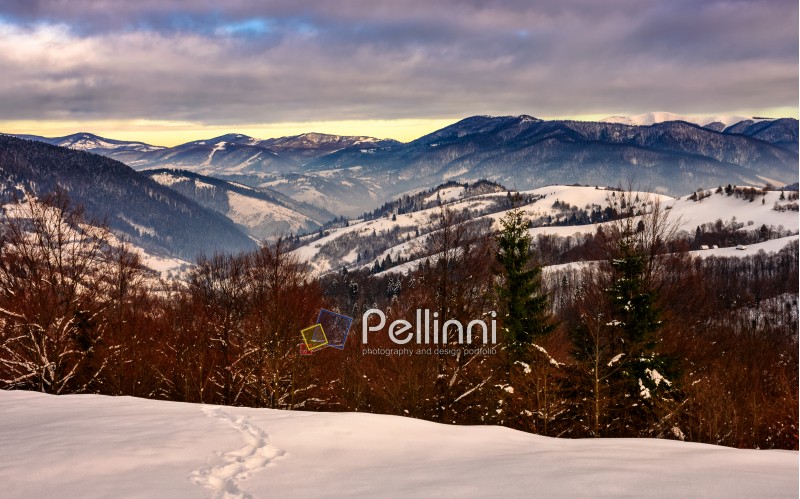 mountain peaks in snow on frosty magenta sunrise in winter