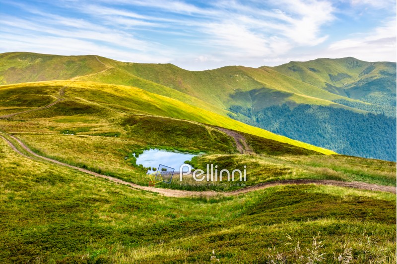 summer landscape in mountains with small swamp on hill side