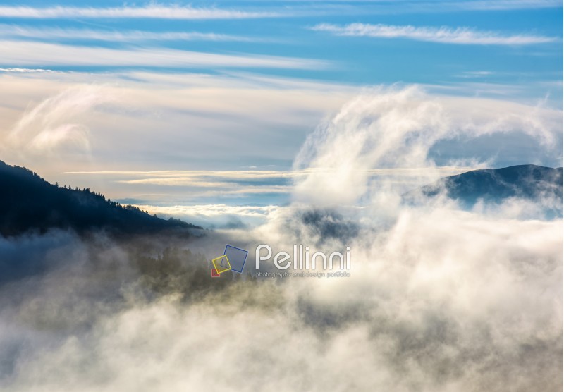 thick cloud formation rising from the forests in valley. dramatic view of nature process in mountains at autumn sunrise