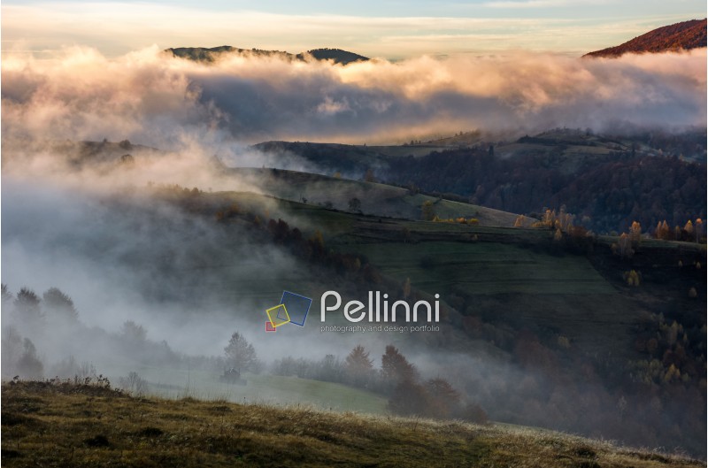 thick fog on hills in countryside at sunrise. gorgeous autumn weather with golden light over the mountain tops and clouds