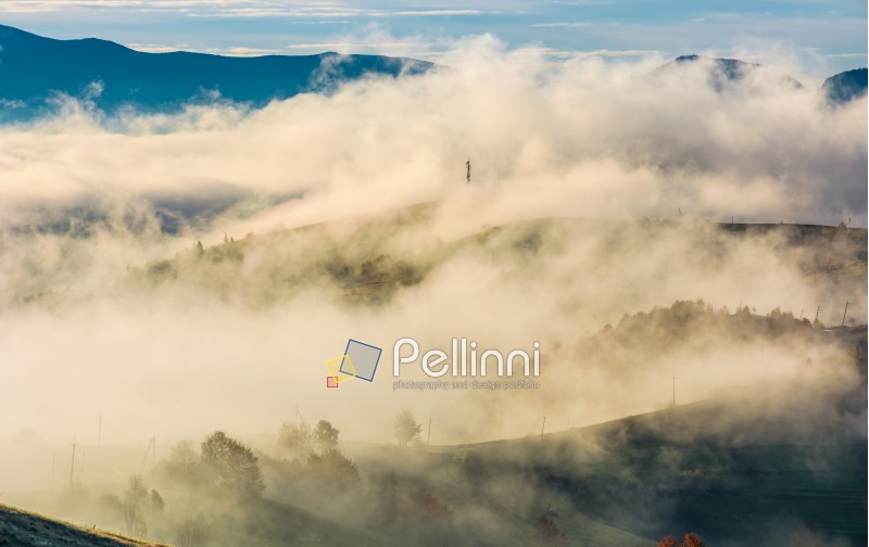 thick fog over the rural hills in morning light. dramatic Carpathian countryside autumnal scenery