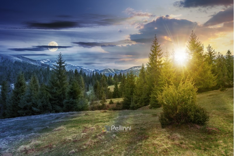 day and night time change concept of beautiful springtime landscape with sun and moon. spruce forest on grassy hillside meadow. spots of snow on distant ridge. 