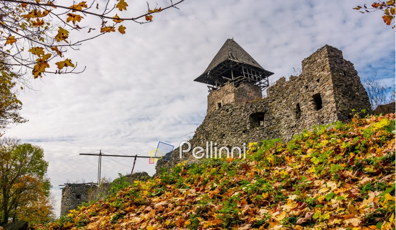 Nevytsky Castle, Ukraine - October 27, 2016: tower with wooden roof and stone wall of fortress on grassy hillside among forest with yellow foliage in autumn. popular tourist attraction