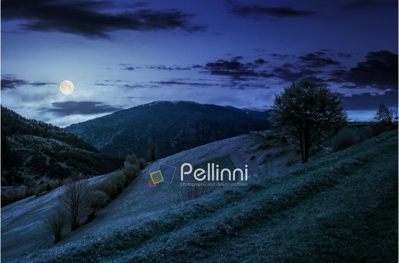 Countryside mountain landscape. trees on a meadow in rural area on beautiful springtime at night in full moon light