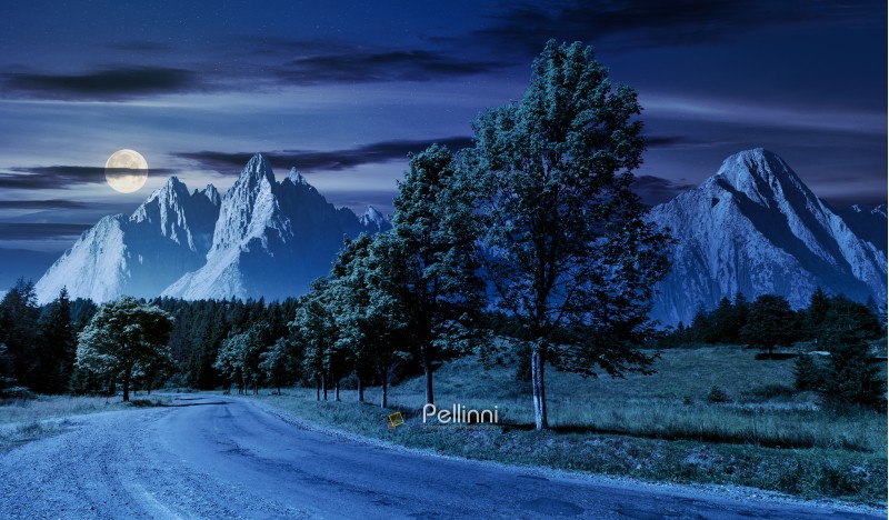 trees along the road in to the mountains at night in full moon. composite mountainous landscape with rocky peaks. beautiful summer nature with gorgeous sky. travel and explore unknown places concept