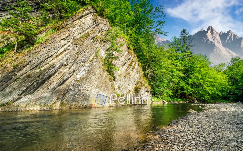 composite summer landscape with trees on a cliff nearthe shore of a clear river at the foot of epic High Tatra mountain ridge with rocky peaks under blue sky with clouds