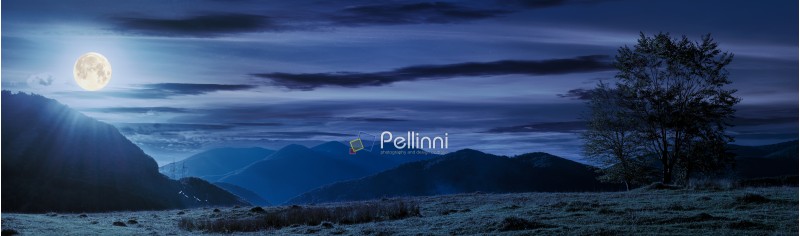 panorama of a mountainous landscape. trees on the grassy meadow. power line tower in the distance. beautiful autumn night in full moon light
