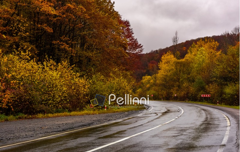 turnaround on wet road through forest in autumn. dangerous transportation scenery. miserable rainy weather in mountains.