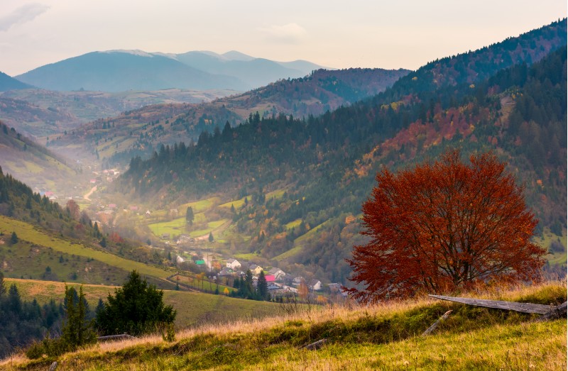 village in a beautiful valley in mountains. hazy autumnal landscape. location Mizhhirya, TransCarpathia, Ukraine