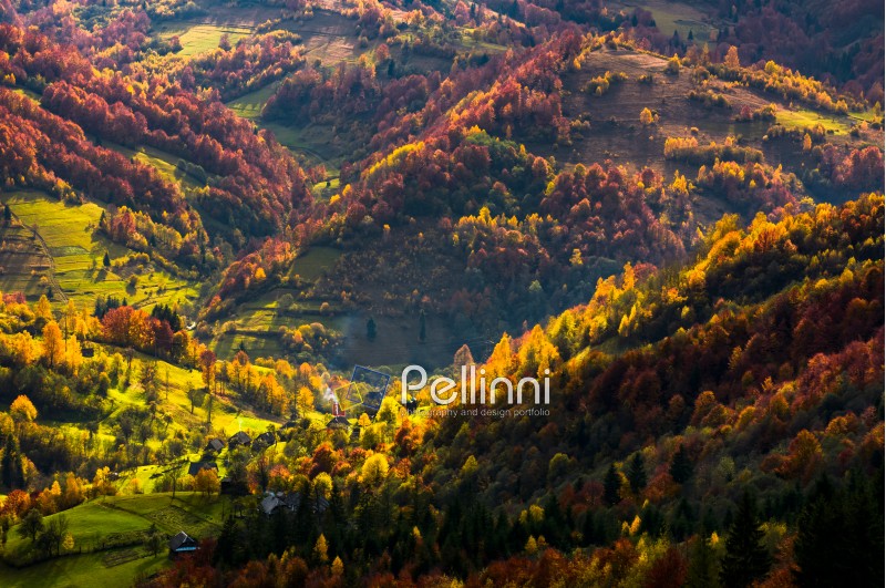 village in a valley down the hill among forest. beautiful autumn scenery in mountains.