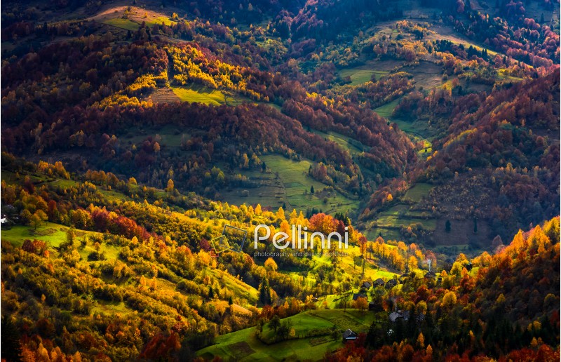 village in sunlit valley view from above. forest with golden foliage on hills. beautiful autumn evening