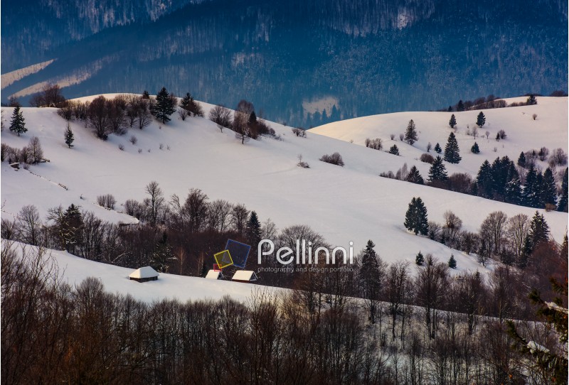 village on snowy hill in winter. lovely countryside scenery in mountainous region at sunrise