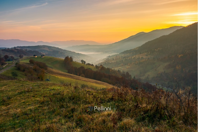 beautiful mountainous countryside at dawn. village on the hill and in valley full of fog. wonderful autumn landscape