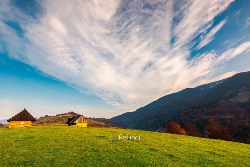 village outskirts in mountains. trees with red foliage on grassy hill. wonderful autumn landscape with beautiful sky