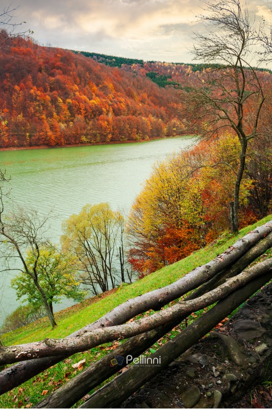 water reservoir on the Tereblya river of Transcarpathia, Ukraine. beautiful autumn scenery with forest in red foliage