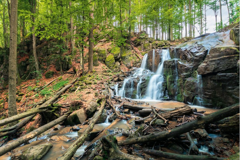 waterfall in the forest. beautiful spring scenery. water comes out of rocky cliff. fallen trees in the stream. fallen foliage among trees. bright and vivid nature background