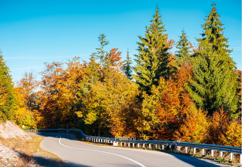 winding mountain road in autumn forest. lovely nature scenery with colorful foliage. travel europe by car concept