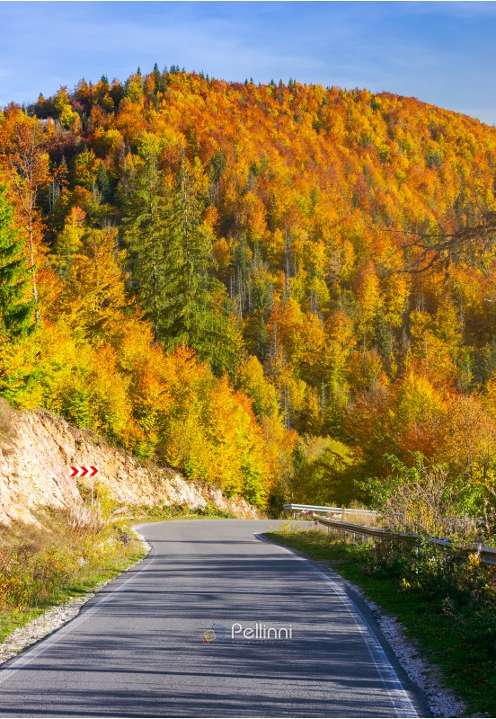 winding road through forested mountains. beautiful autumn weather on sunny afternoon.