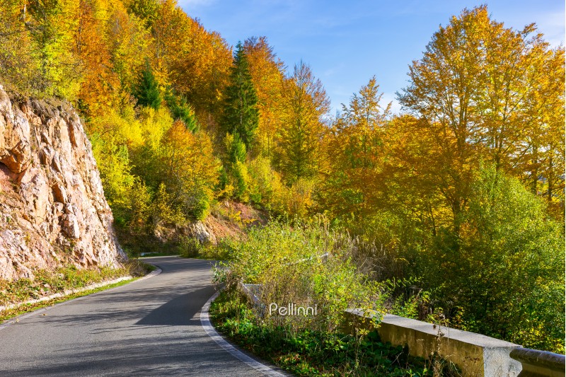 winding road through forested mountains. beautiful autumn weather on sunny afternoon.
