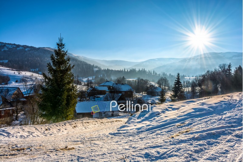 village near the forest in mountainous area in winter carpathian landscape on a sunny day