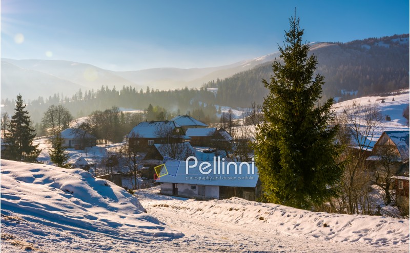 village in mountainous area in winter carpathian landscape. location Pylypets, Ukraine