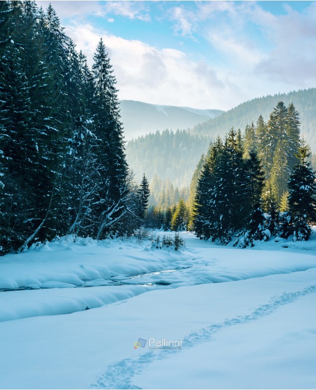 winter landscape with river in mountains. beautiful nature scenery with snow covered riverbank among spruce forest