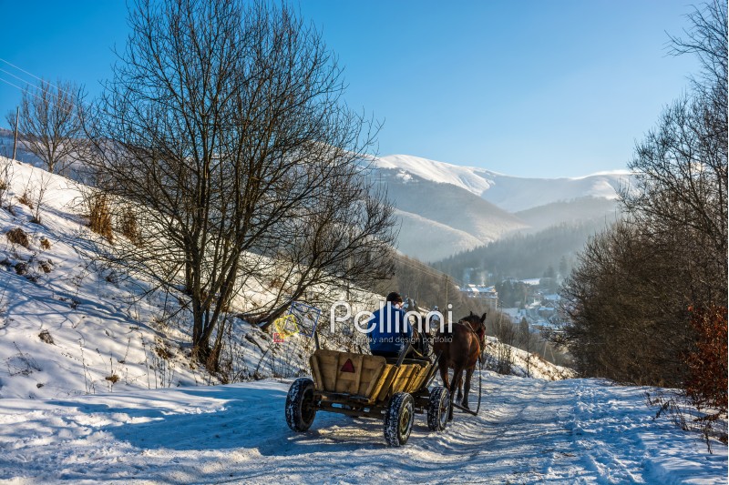 man riding cart with twoo horses down the hill to village in snowy mountains