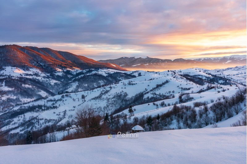 winter sunrise in mountains. beautiful carpathian countryside. the sky is on fire. rural area with rolling hills. good morning wonderful world