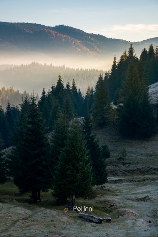 mysterious scenery in mountains. wonderful autumn weather with fog in distant valley