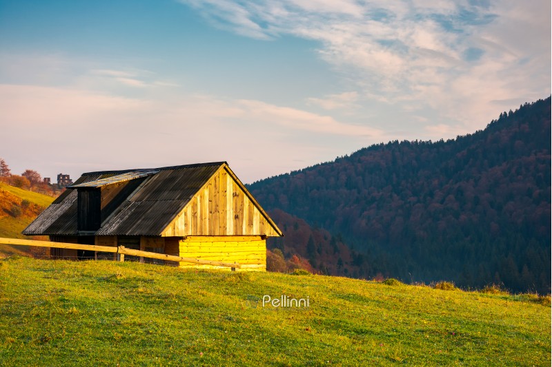 wooden barn in village outskirts on hill in morning light. beautiful autumn countryside