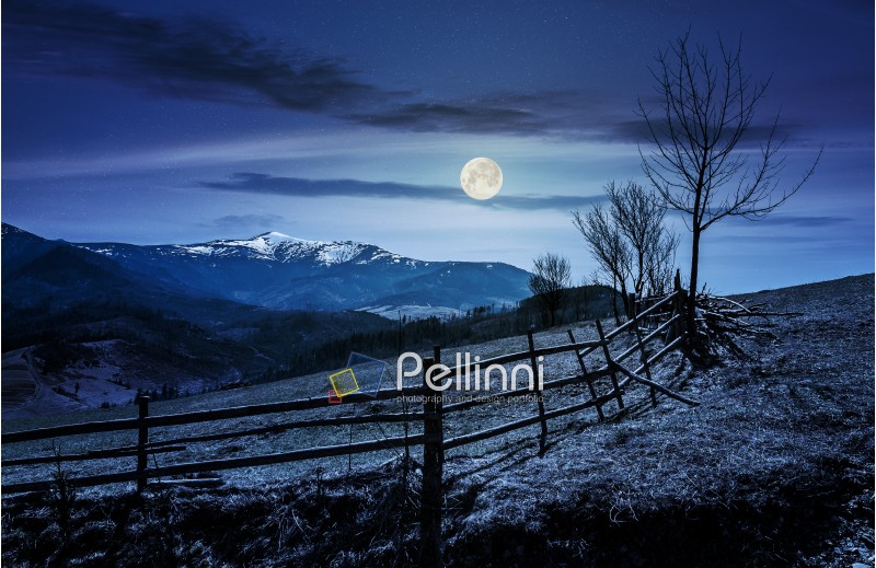 Spring time rural landscape. Wooden fence along the path through agricultural fields in Carpathian mountains at night in full moon light