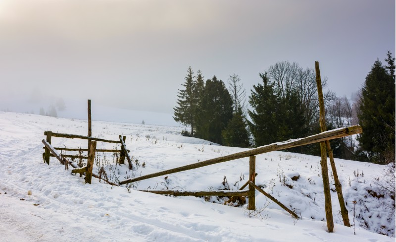 wooden fence on snowy meadow. lovely rural scenery on a foggy morning. location Pylypets, Ukraine