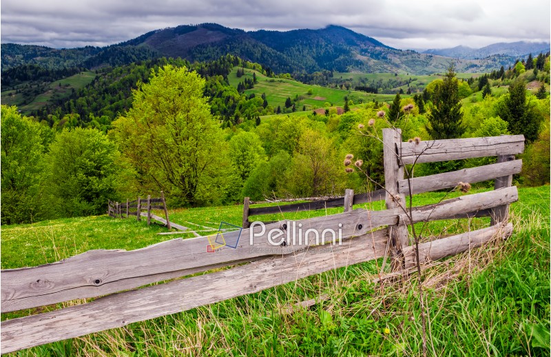 wooden fence on hillside in the rural area. classic countryside landscape of Carpathians